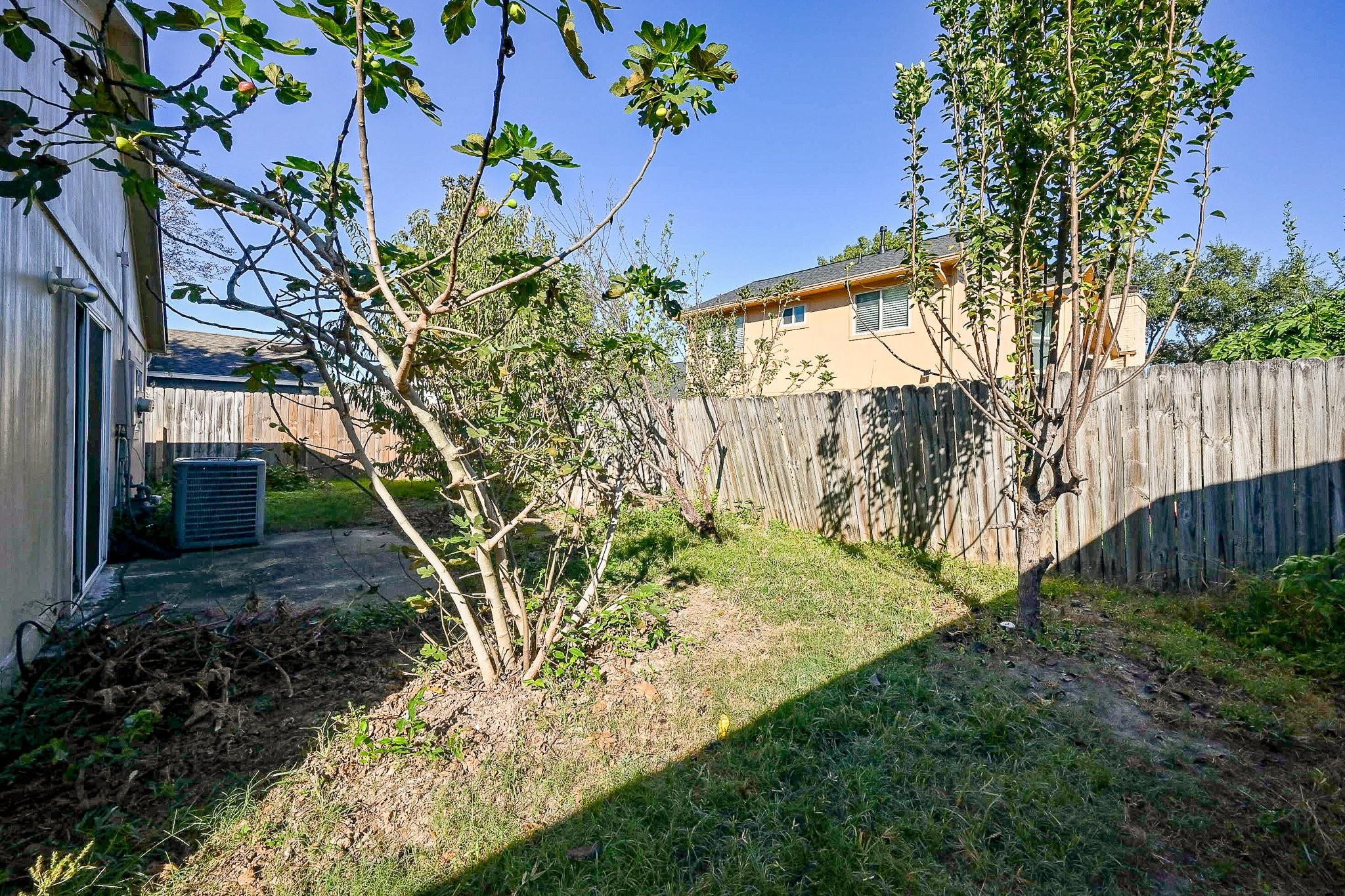 13814 Peach Hollow Lane