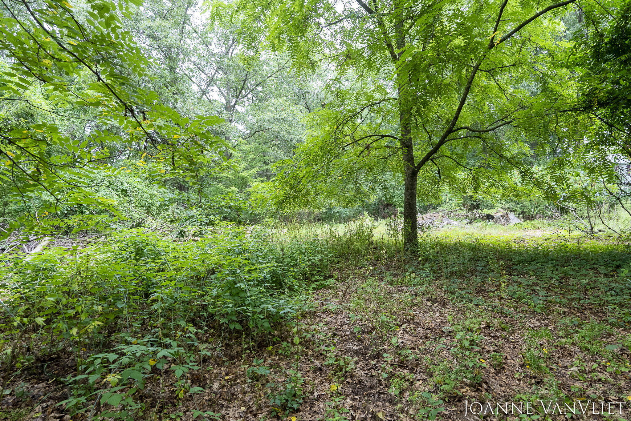 1895 4 Mile Road NE
