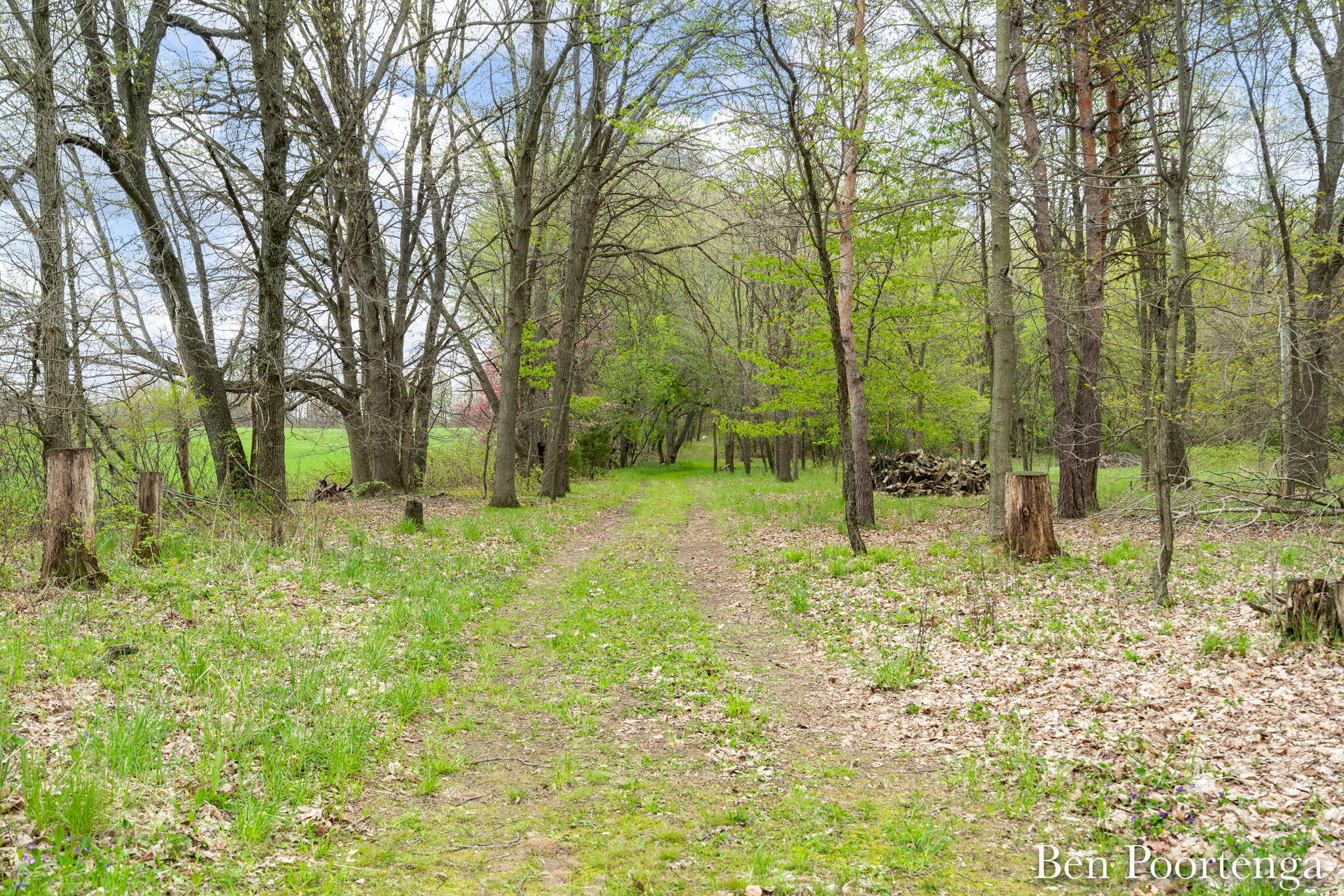 10299 Fisk Road
