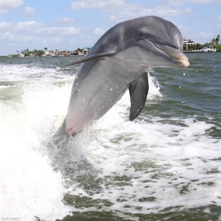 270 N Collier BLVD # 202