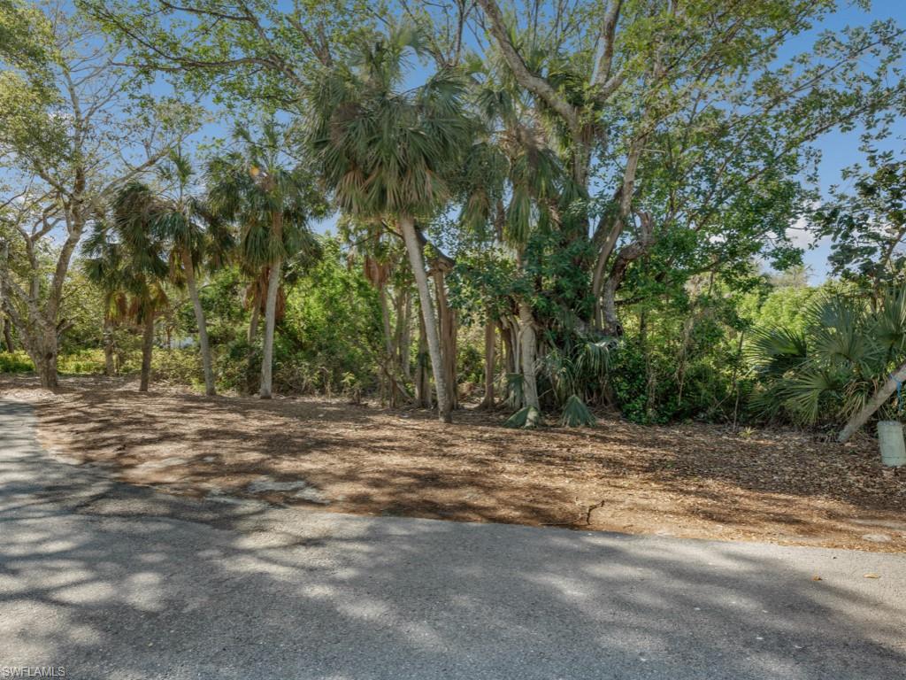 383 Morning Glory LN