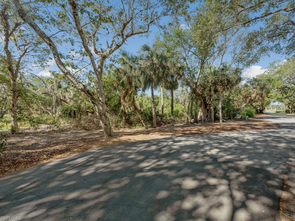 383 Morning Glory LN