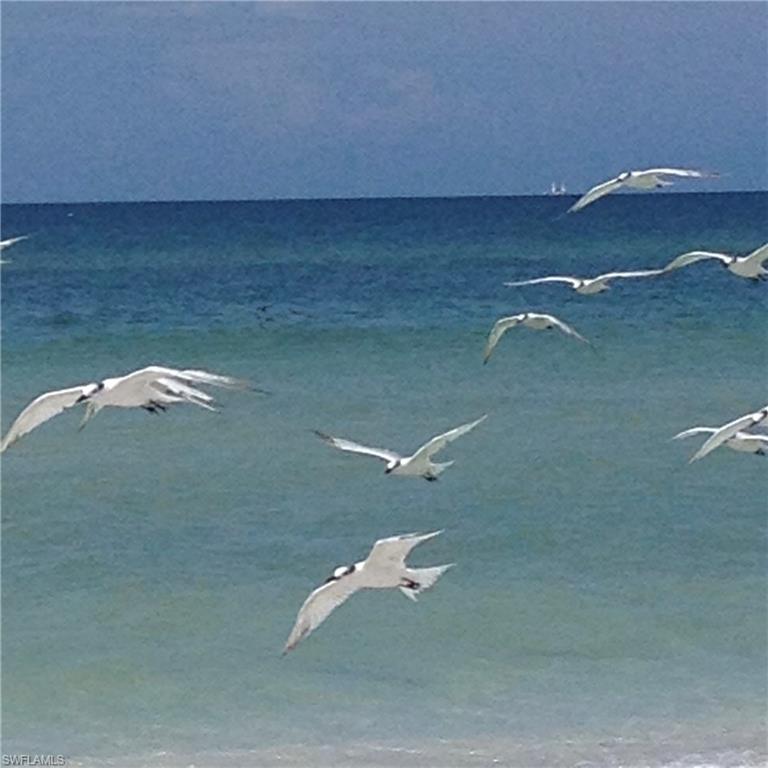 27 Greenbrier ST # 109 Unit: 6-109