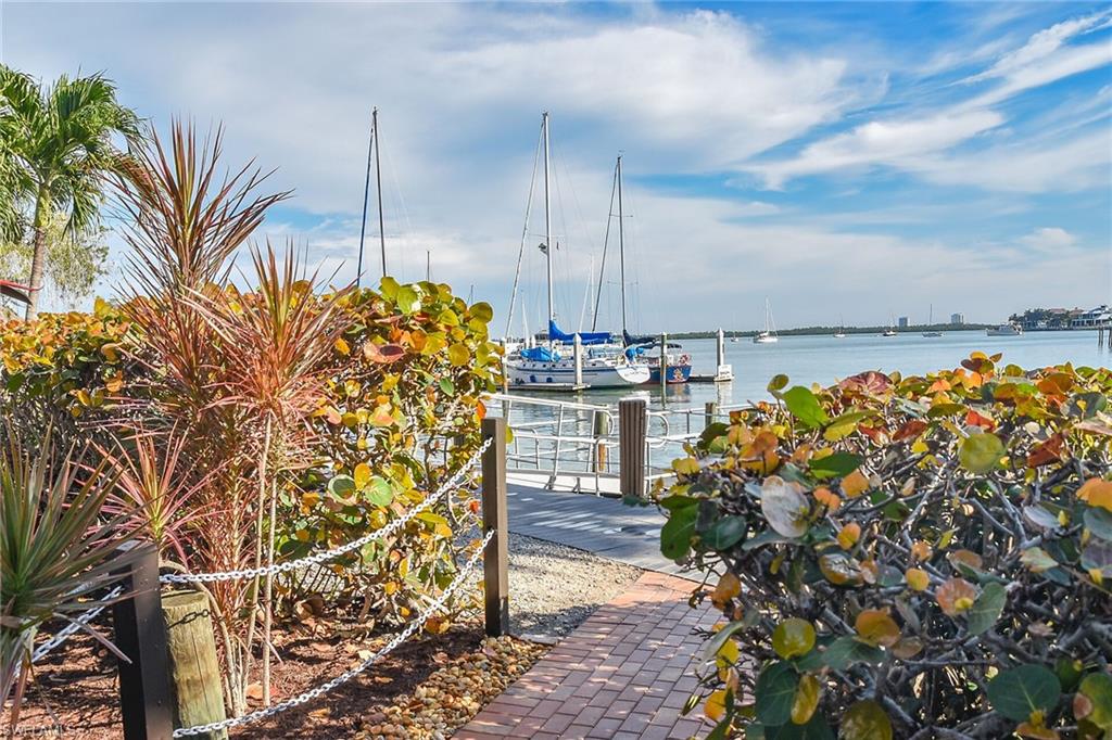 1011 Anglers CV H205