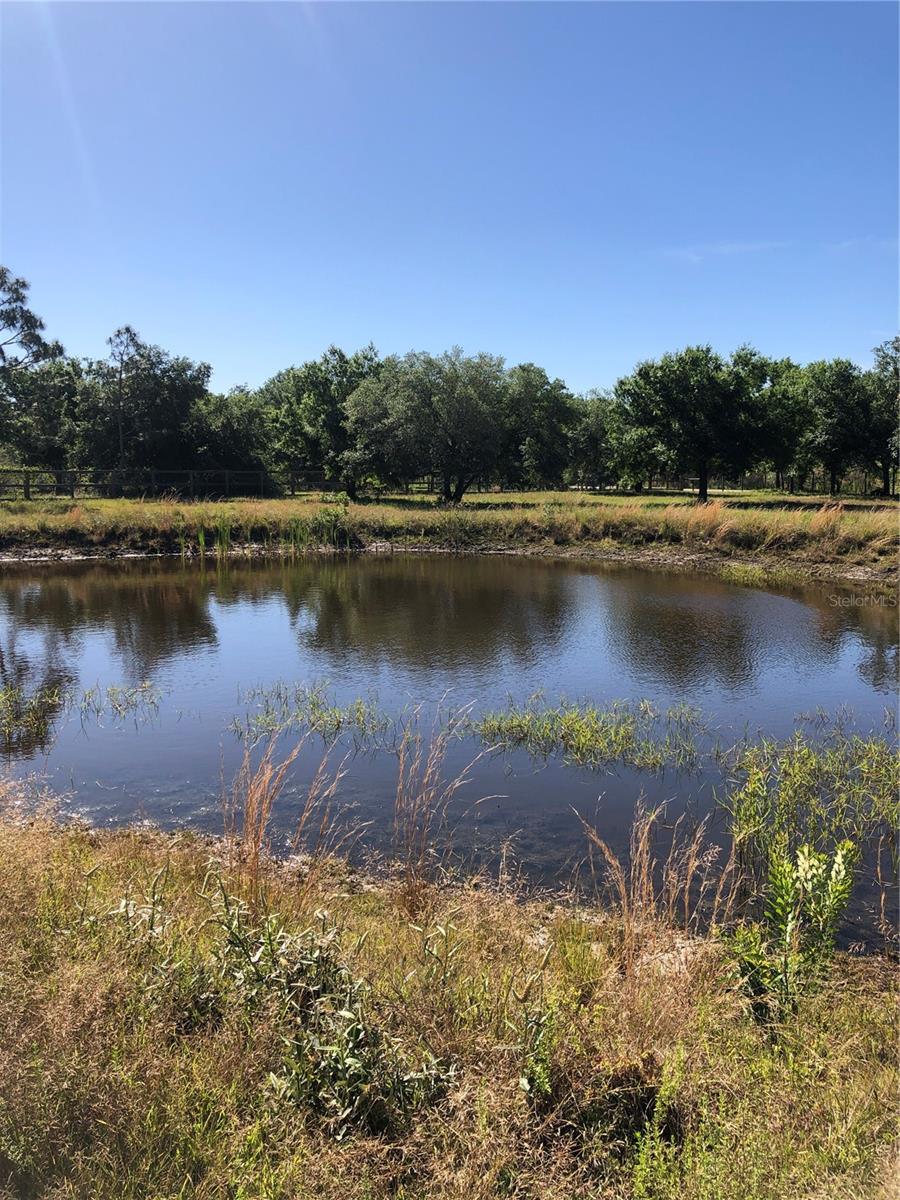 9884 SW SOUTHERN DREAMS RD