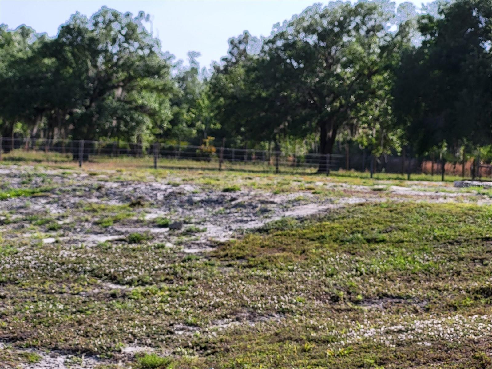 9884 SW SOUTHERN DREAMS RD