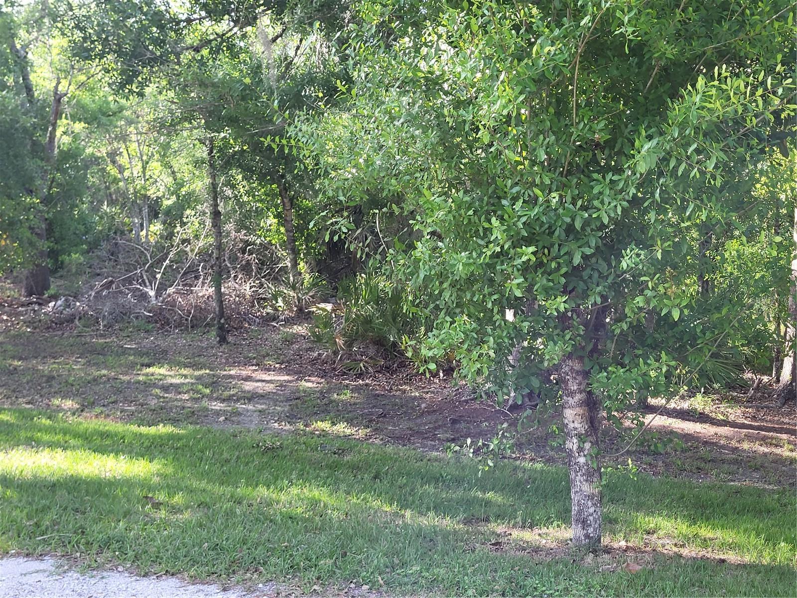 9884 SW SOUTHERN DREAMS RD