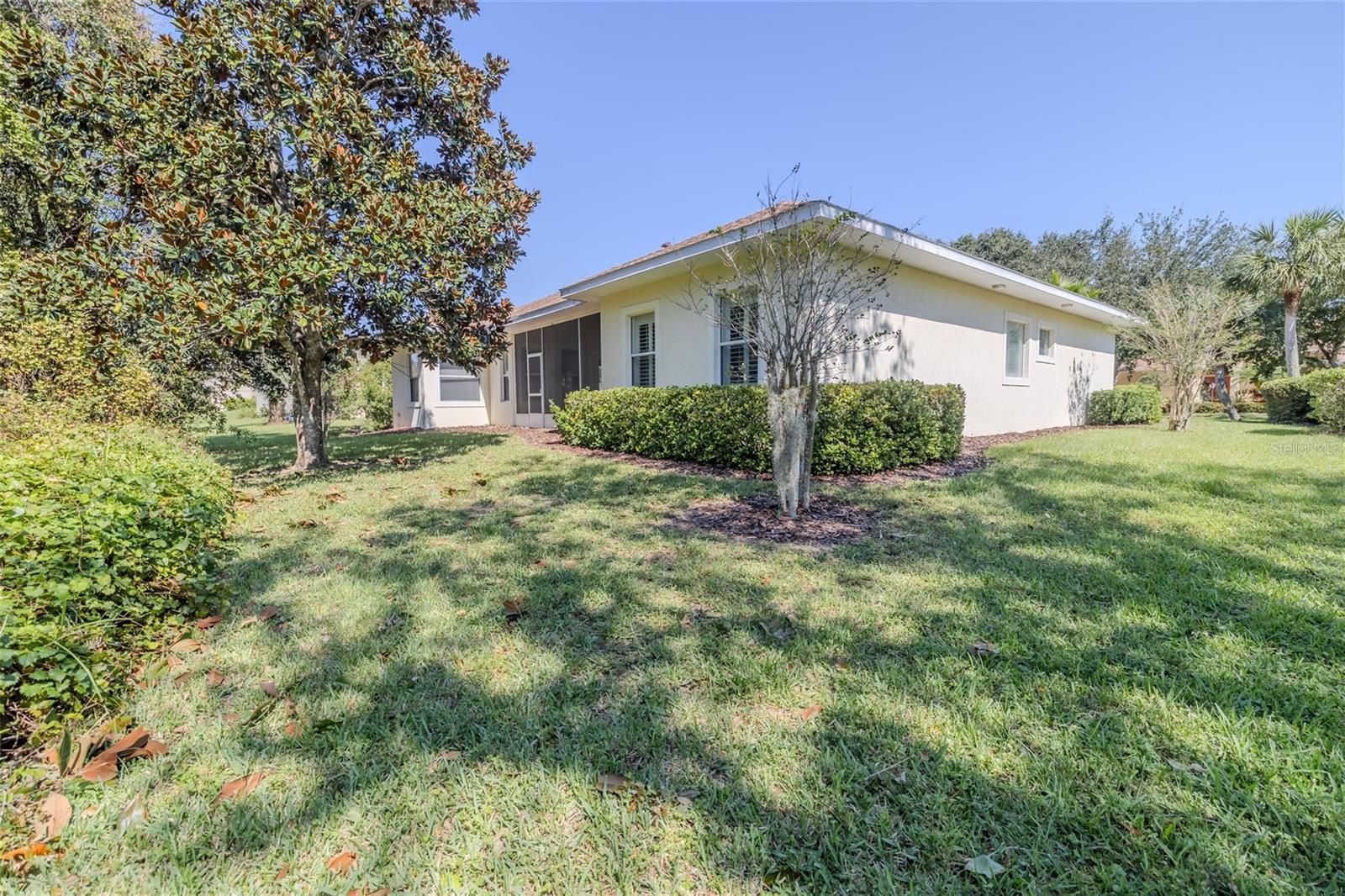 14 IBIS CT N