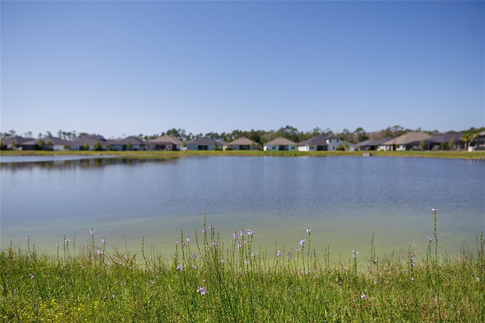 139 WOOD STORK LN