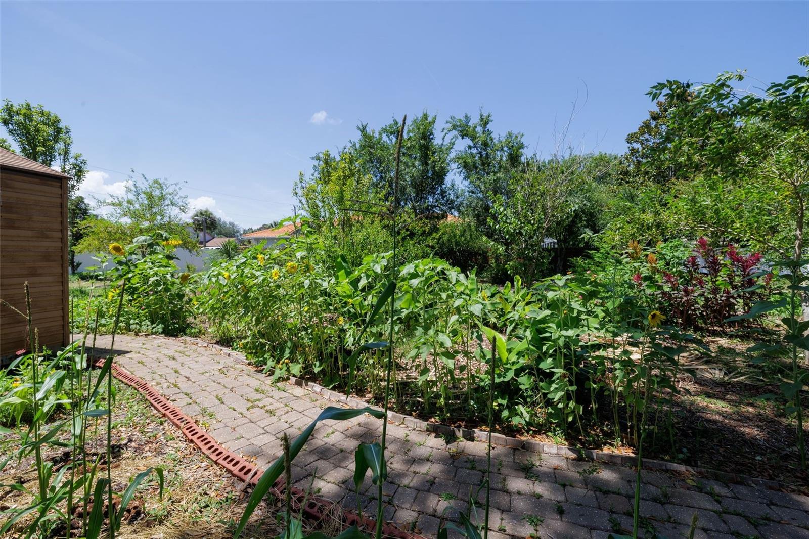 6 FAIRHILL LN