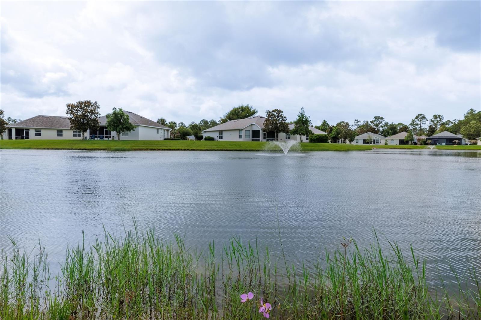61 RAINTREE CIR