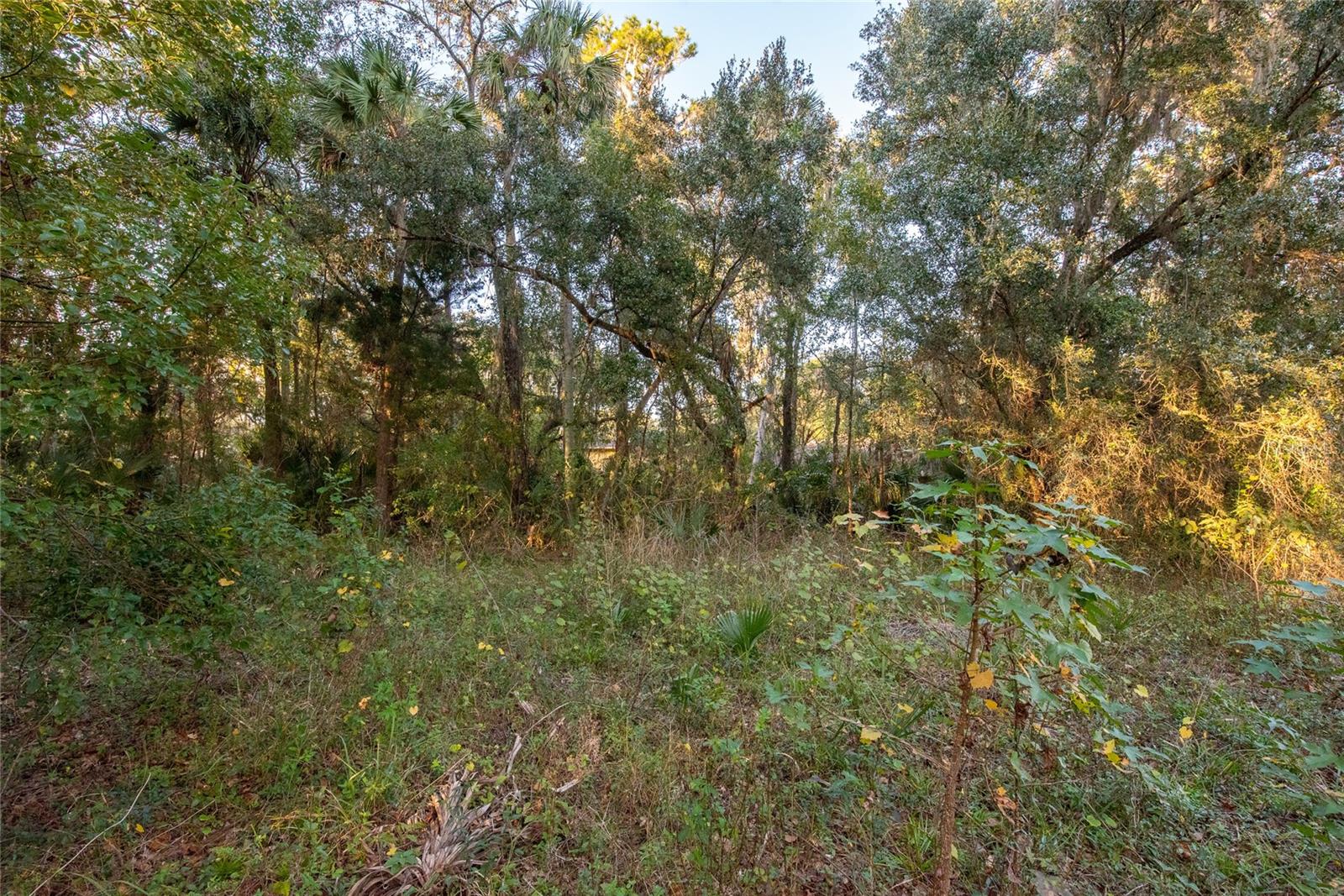 1634 SHELL HARBOR RD