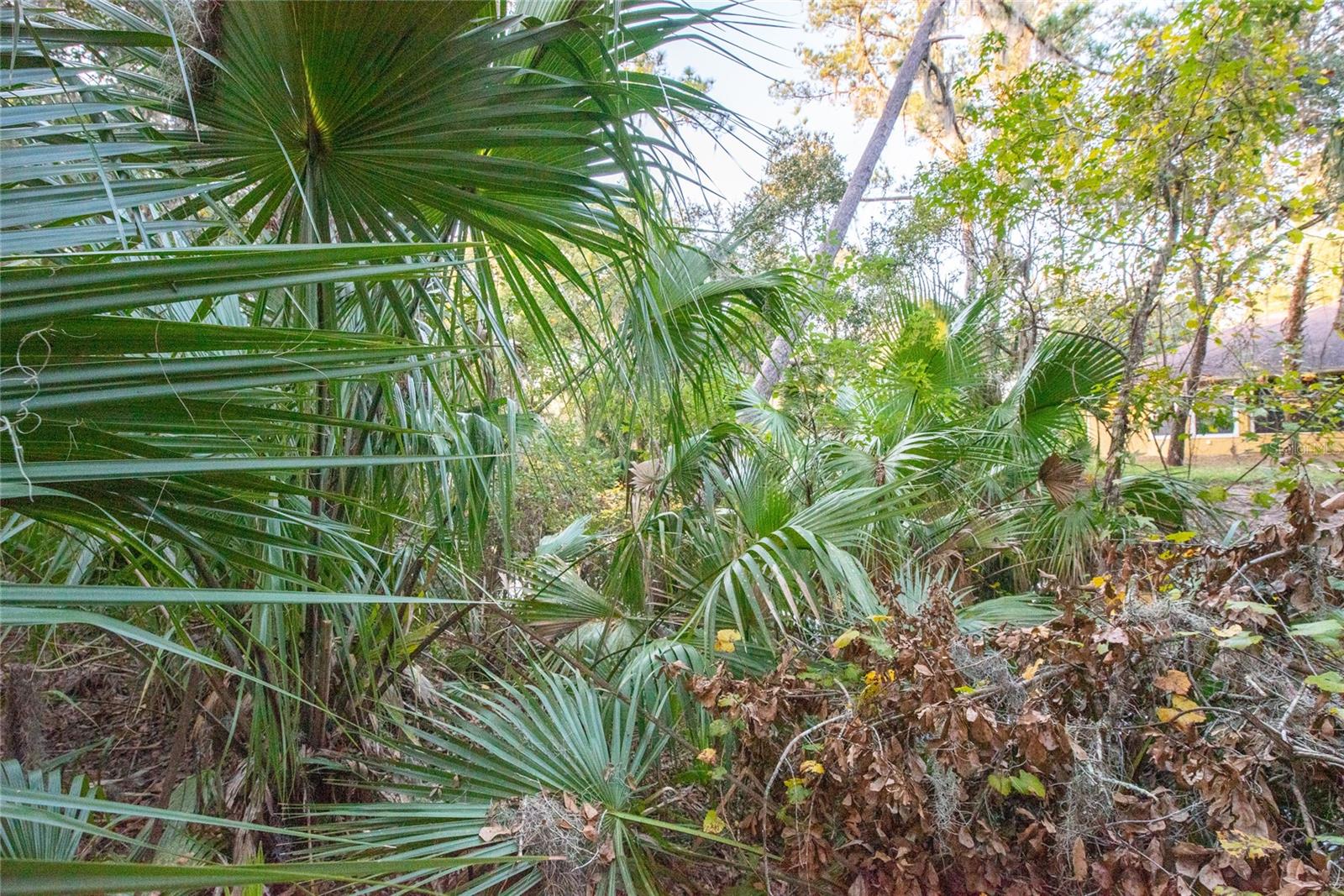 1634 SHELL HARBOR RD