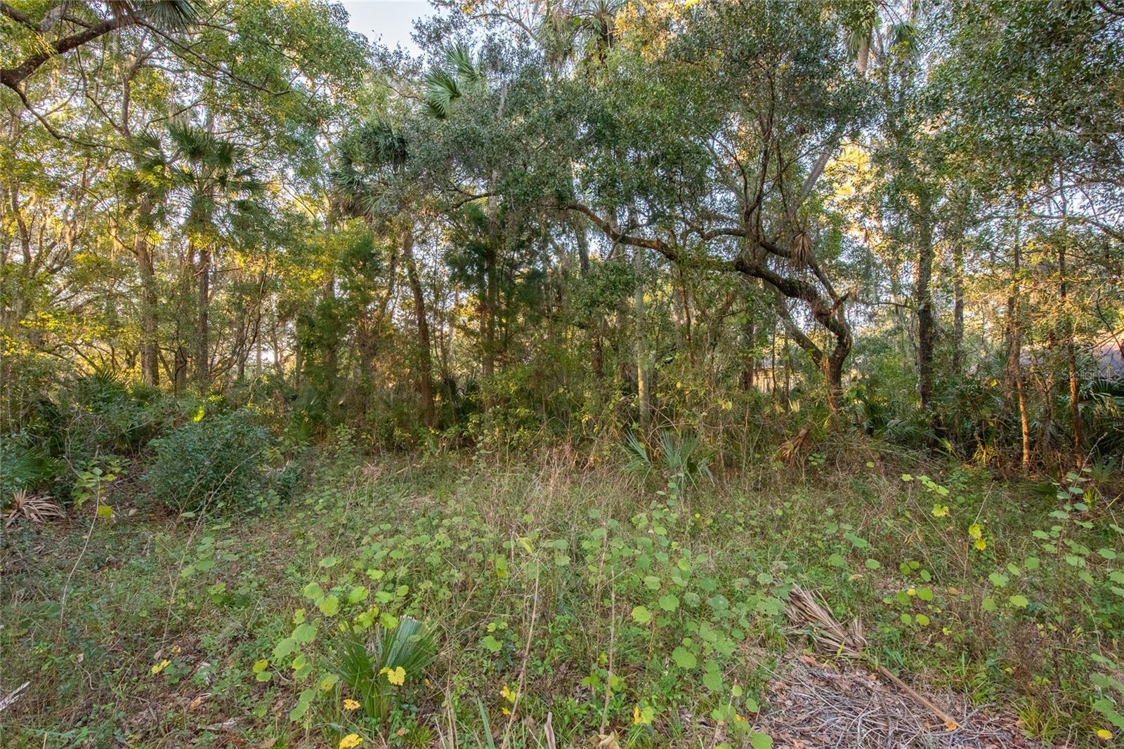 1634 SHELL HARBOR RD