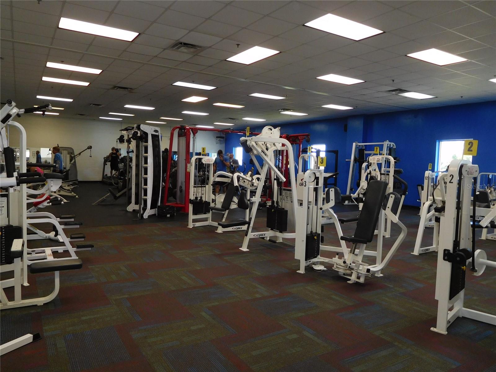 1627 UMBRELLA TREE DR