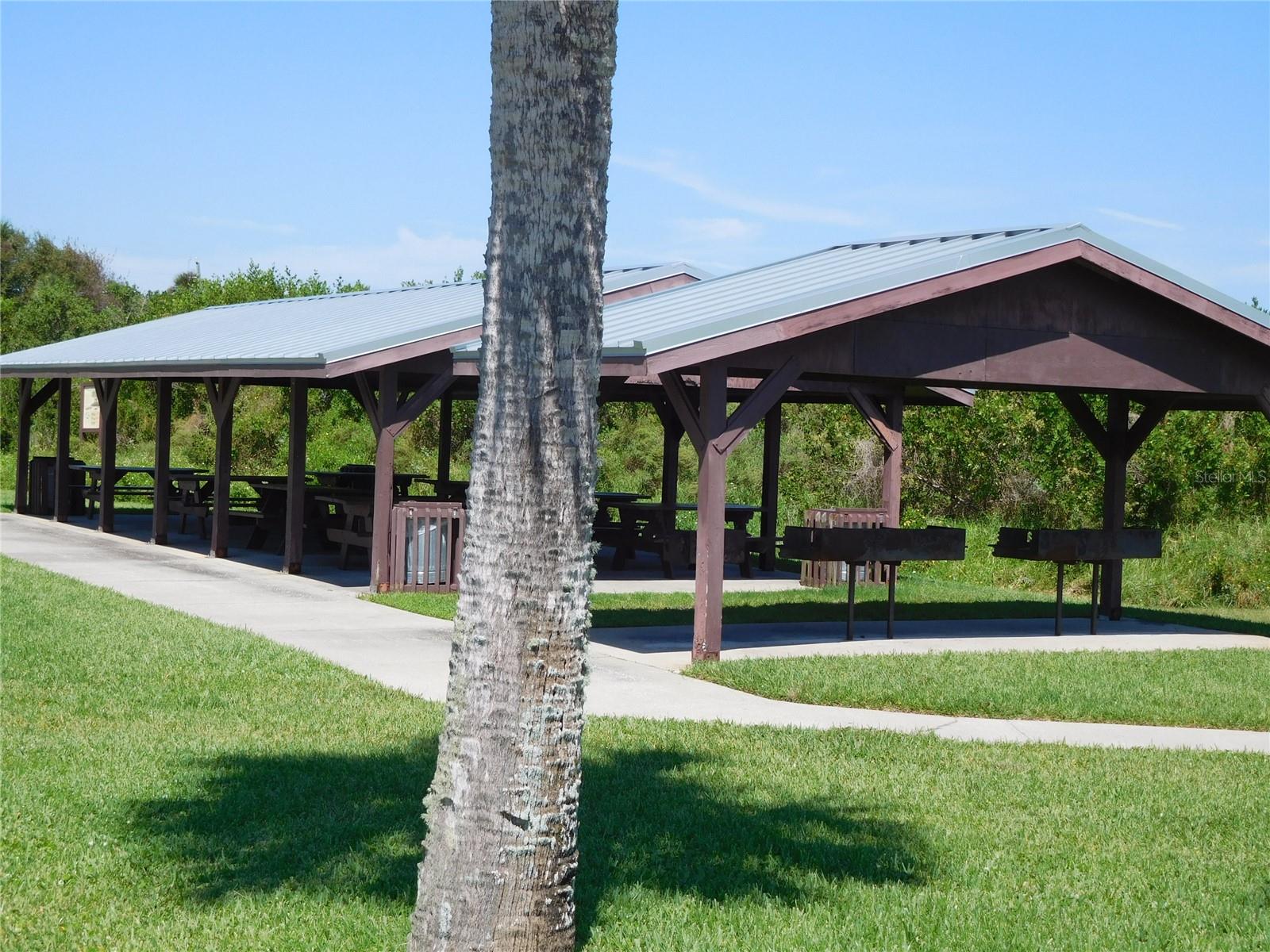 1627 UMBRELLA TREE DR