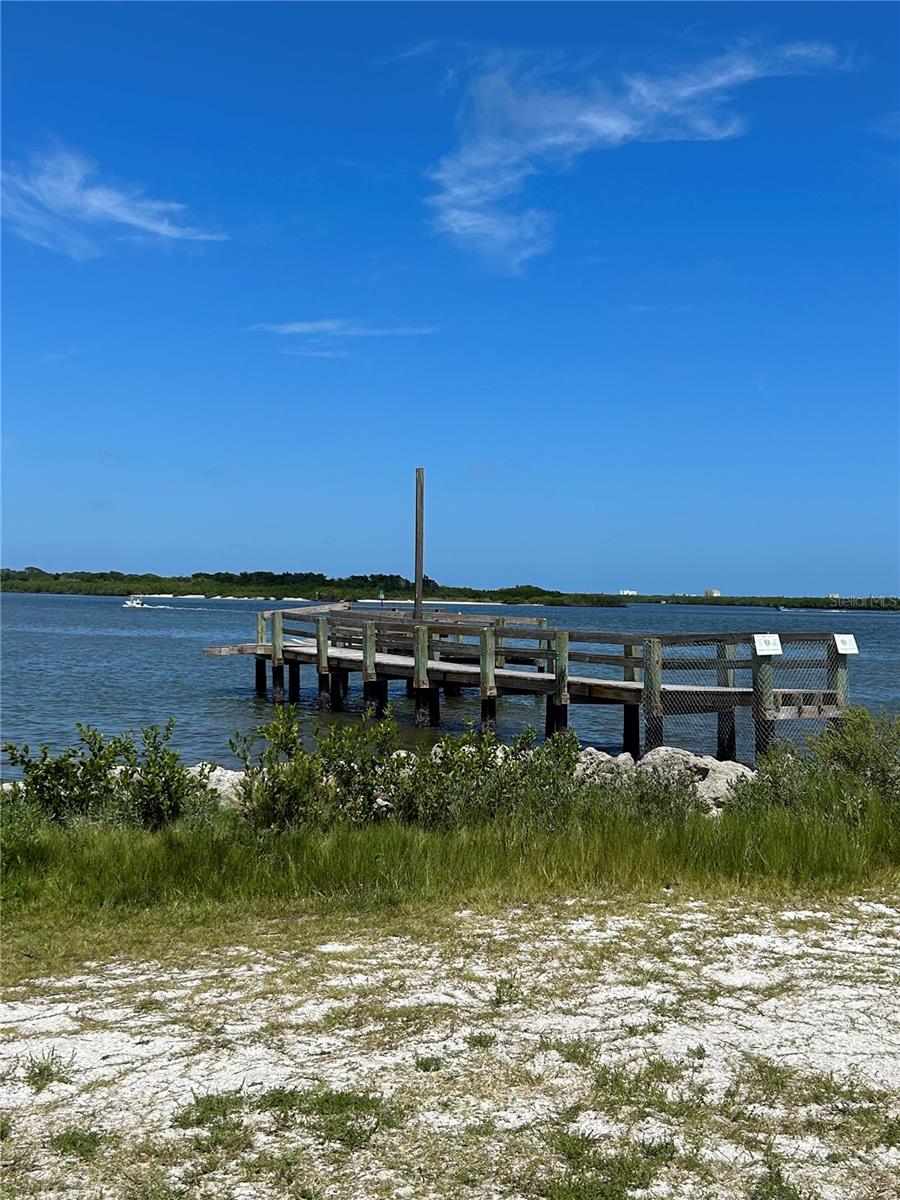 1627 UMBRELLA TREE DR