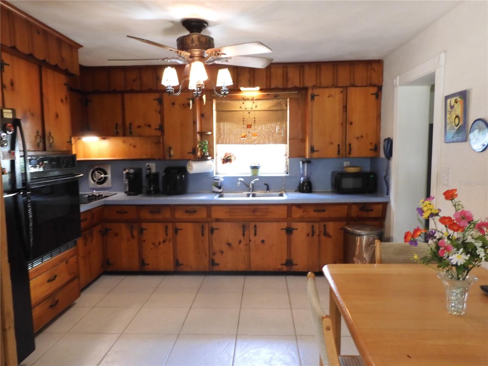 1627 UMBRELLA TREE DR