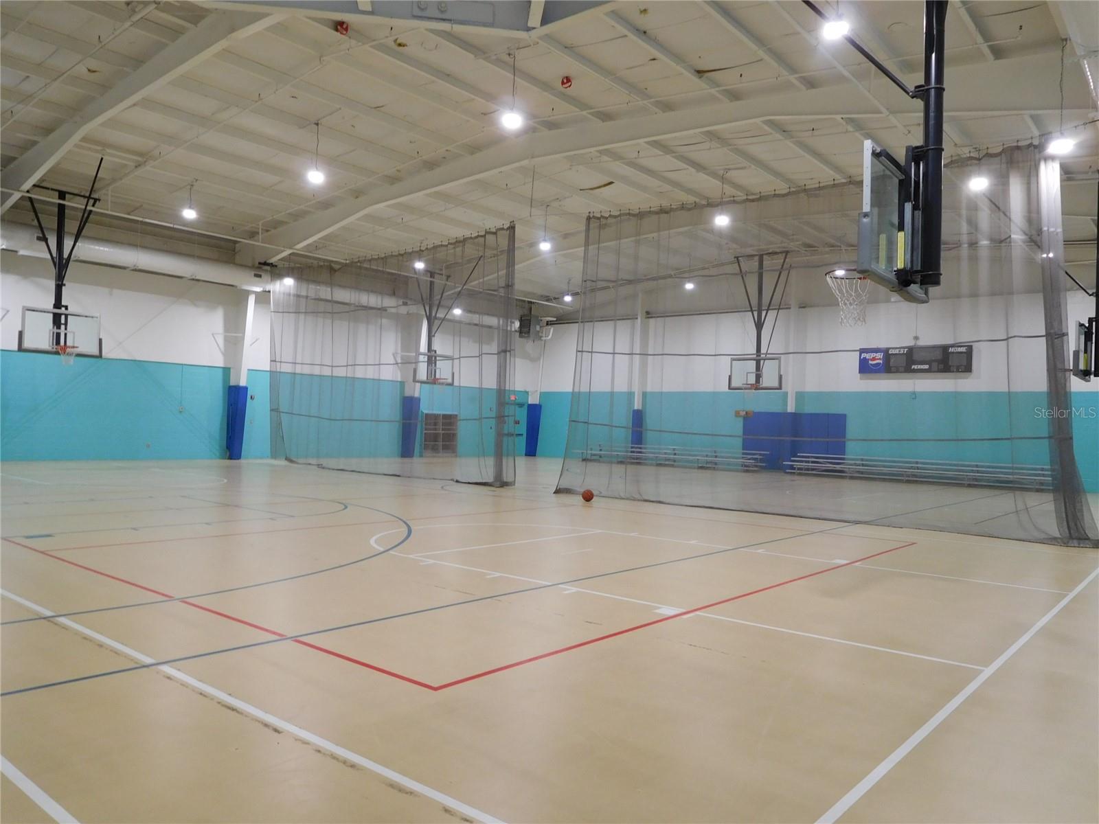 1627 UMBRELLA TREE DR