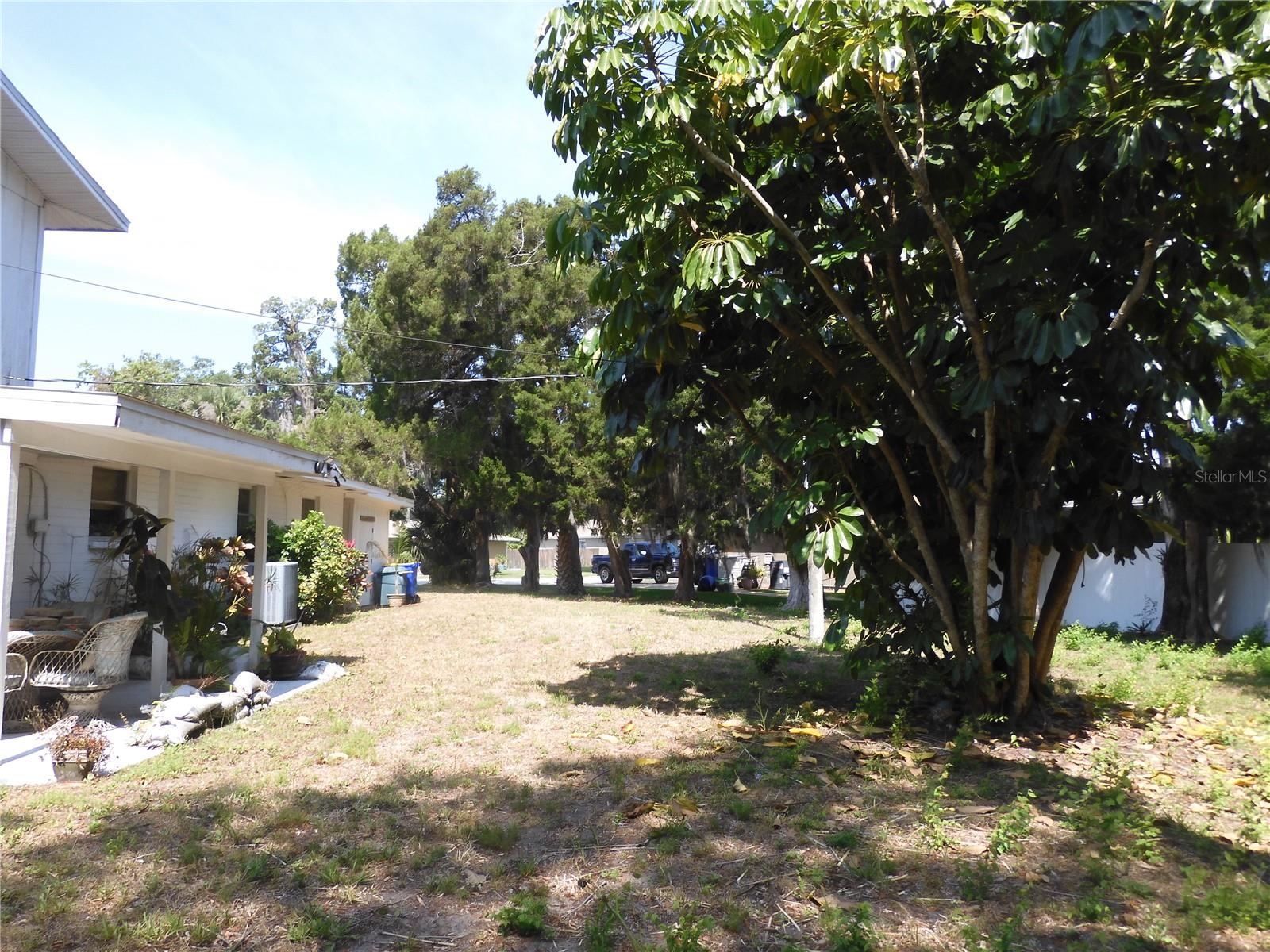 1627 UMBRELLA TREE DR