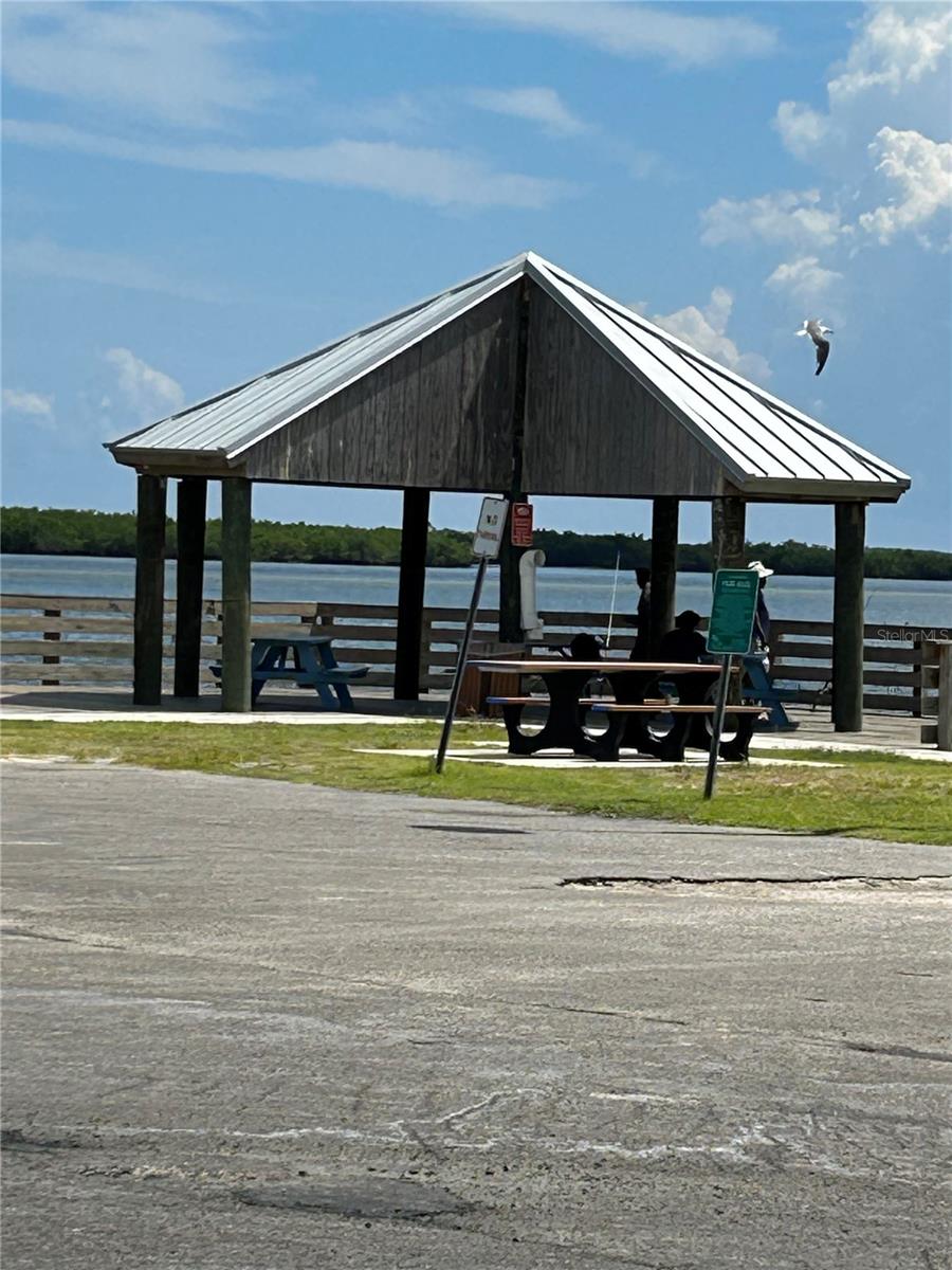 1627 UMBRELLA TREE DR