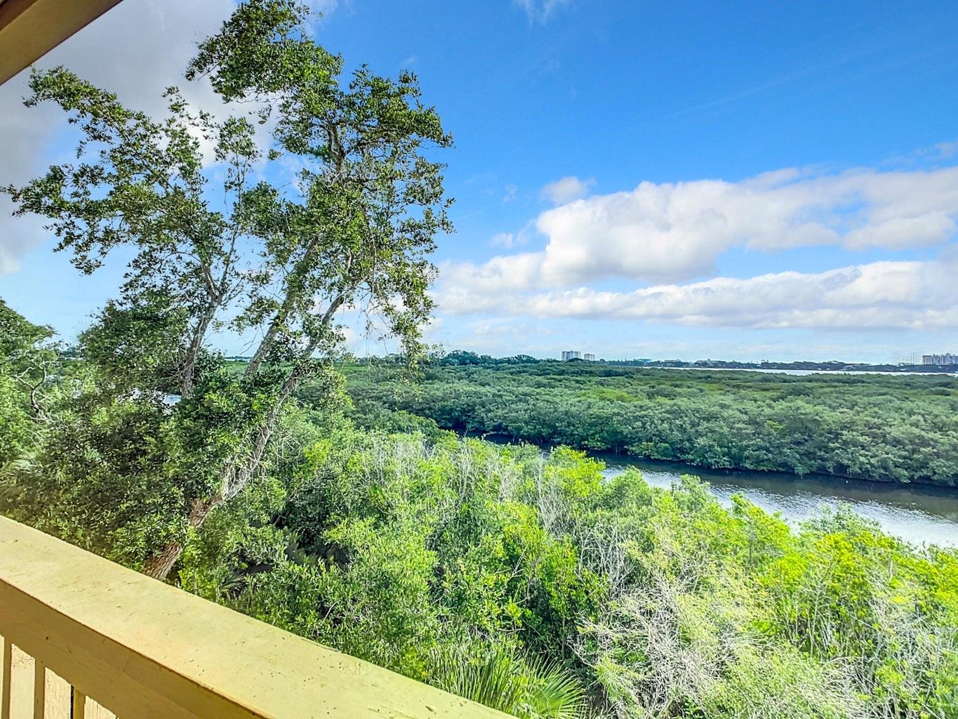 1401 S PALMETTO AVE #621