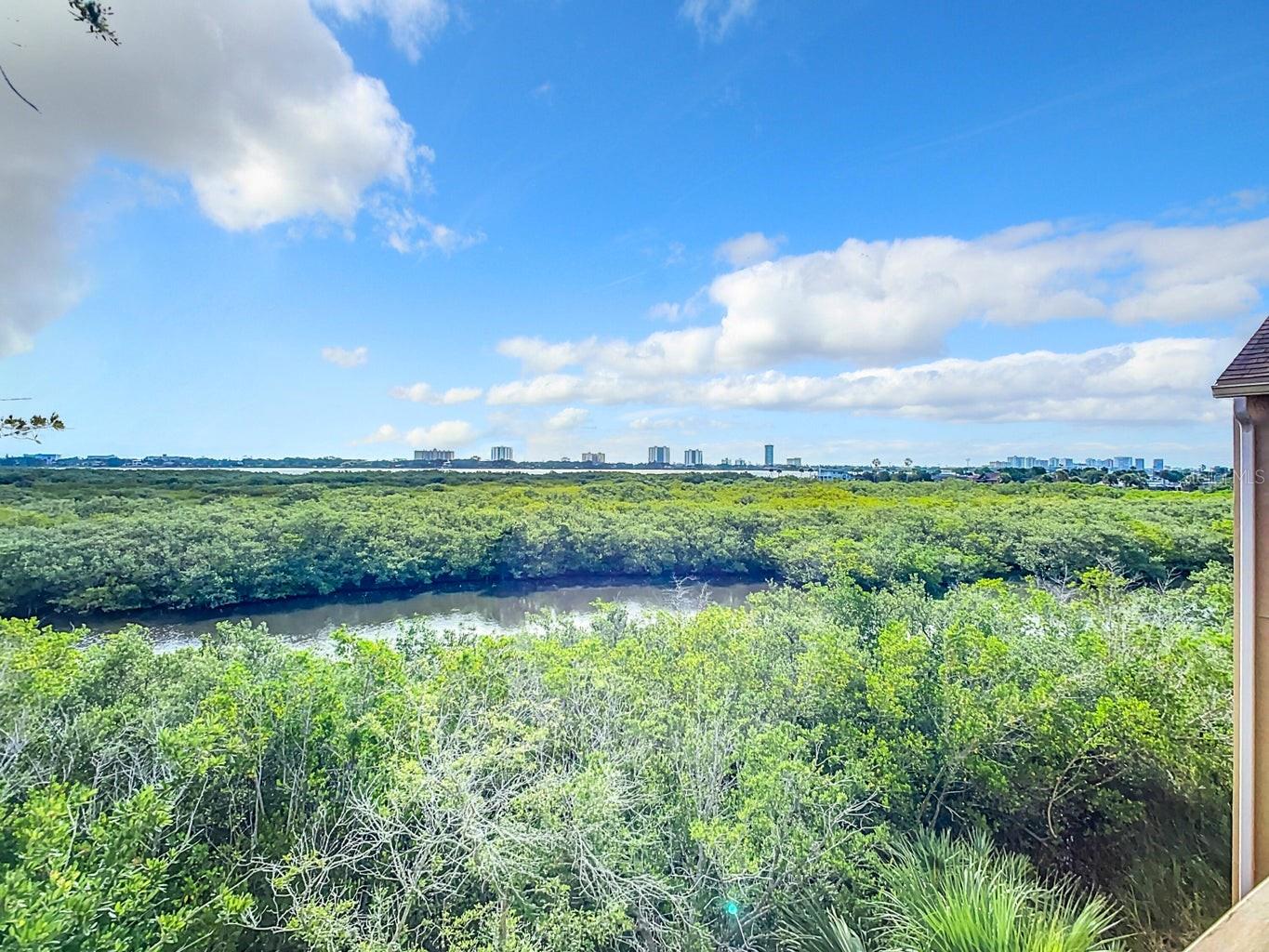 1401 S PALMETTO AVE #621