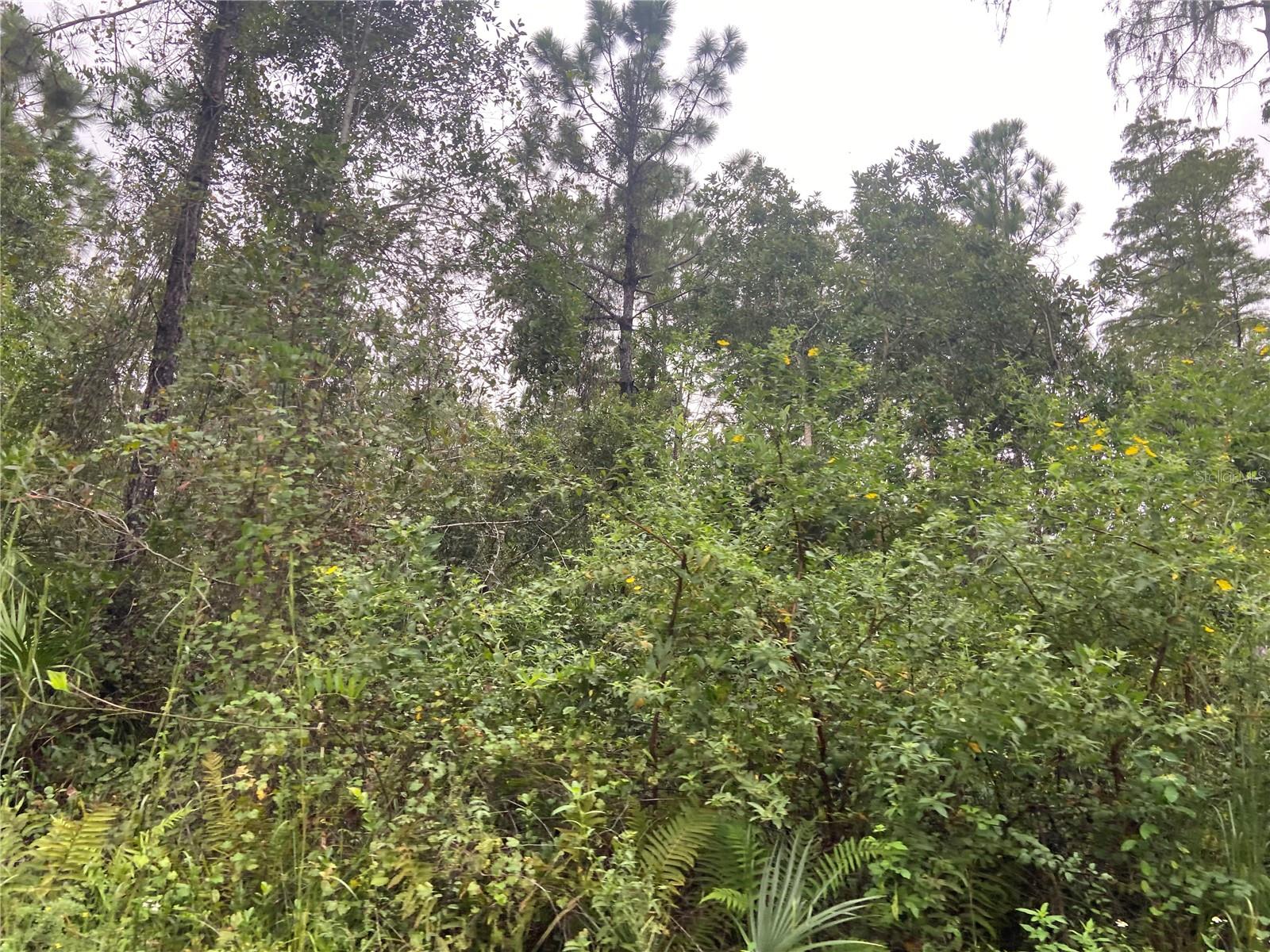 NO NAME PARCEL 28173102040030 ST