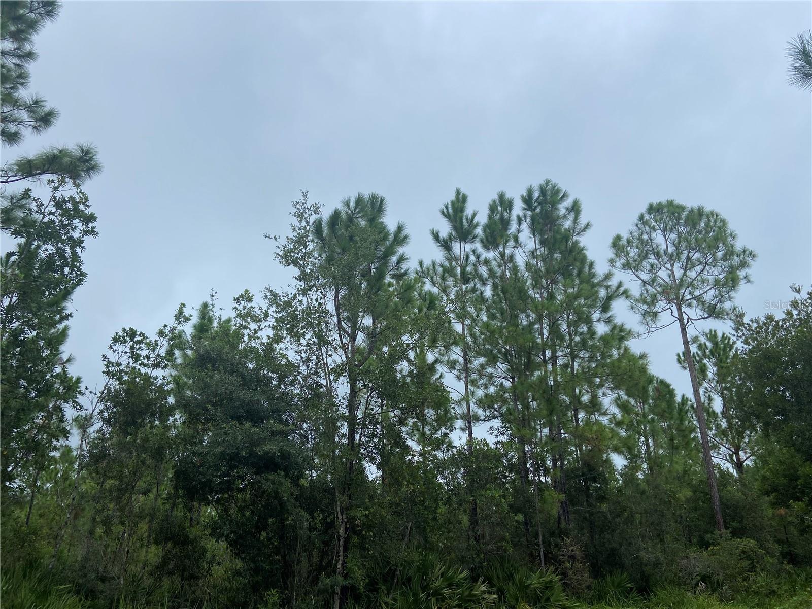 NO NAME PARCEL 28173102040030 ST