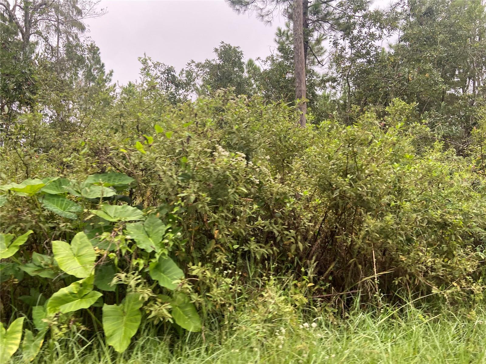 NO NAME PARCEL 28173102040030 ST