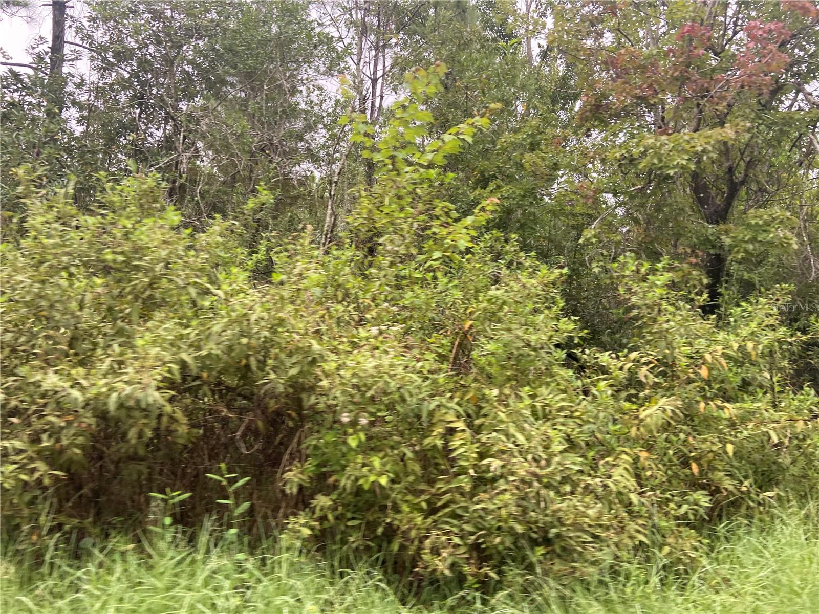 NO NAME PARCEL 28173102040030 ST