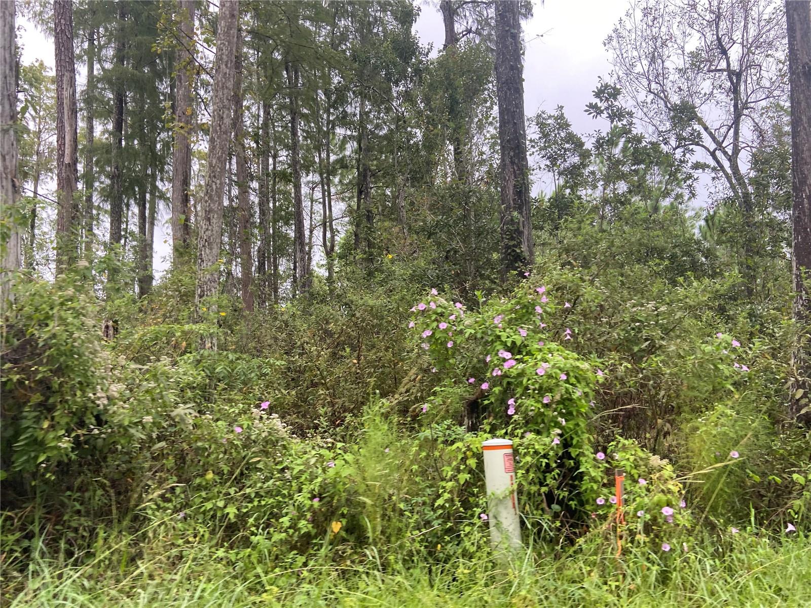 NO NAME PARCEL 28173102040030 ST