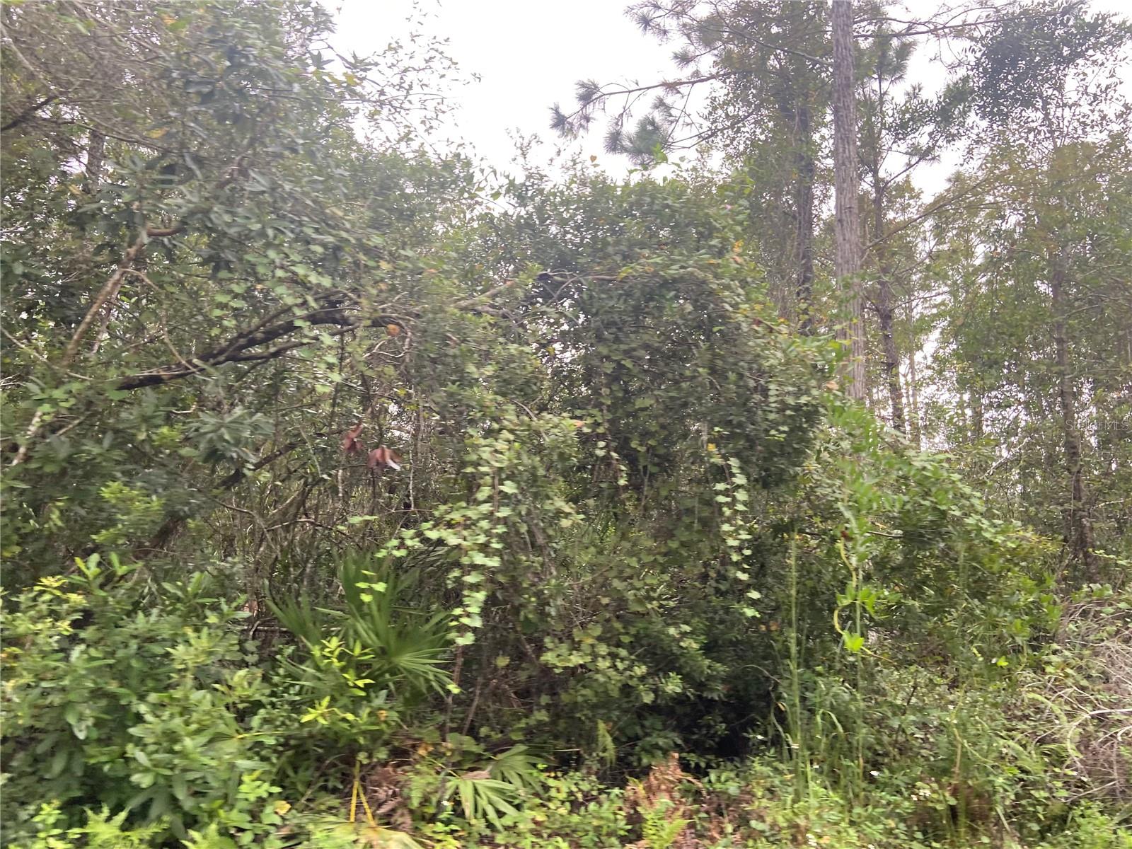 NO NAME PARCEL 28173102040030 ST