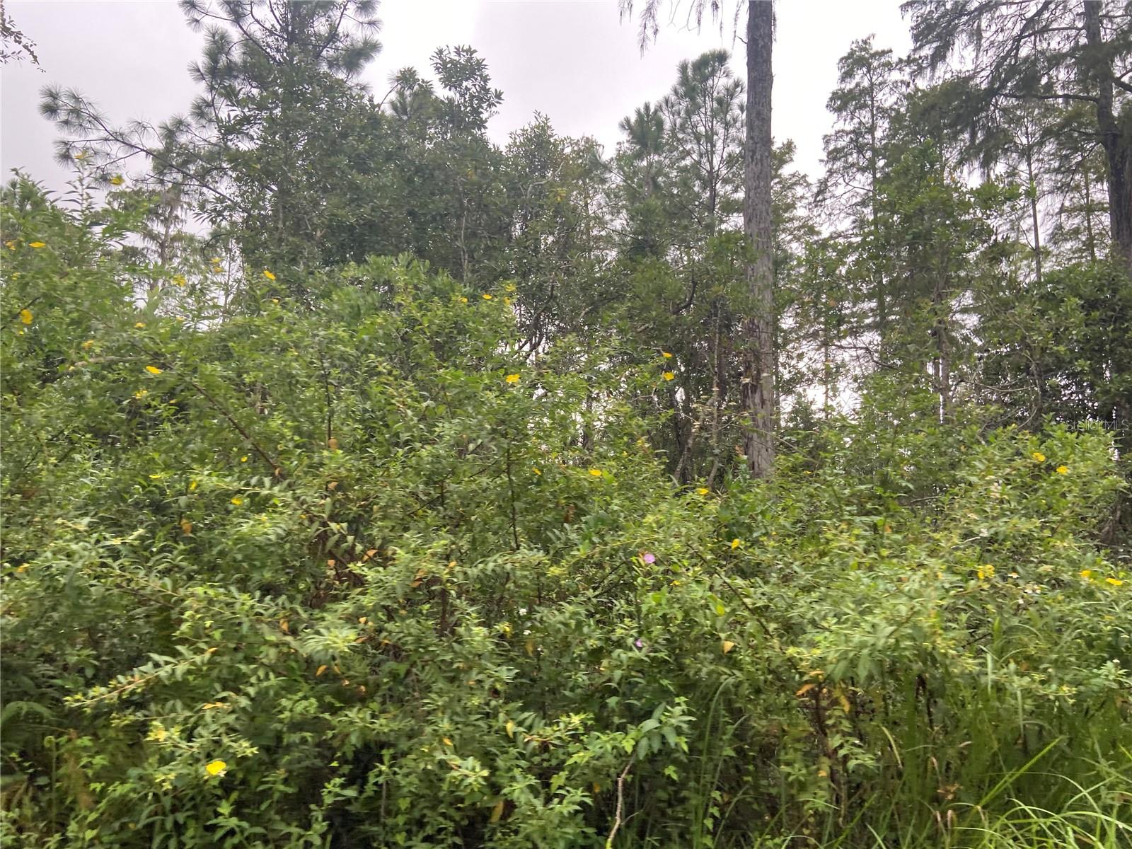 NO NAME PARCEL 28173102040030 ST