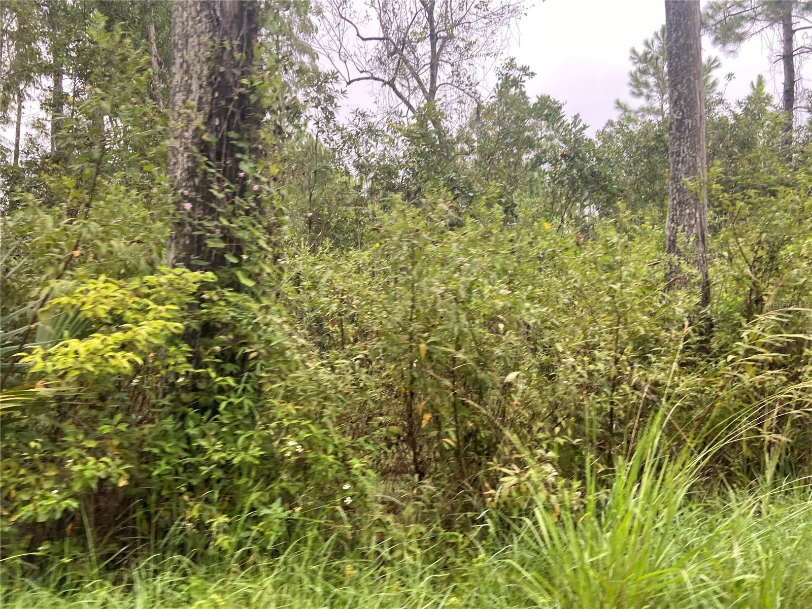 NO NAME PARCEL 28173102040030 ST