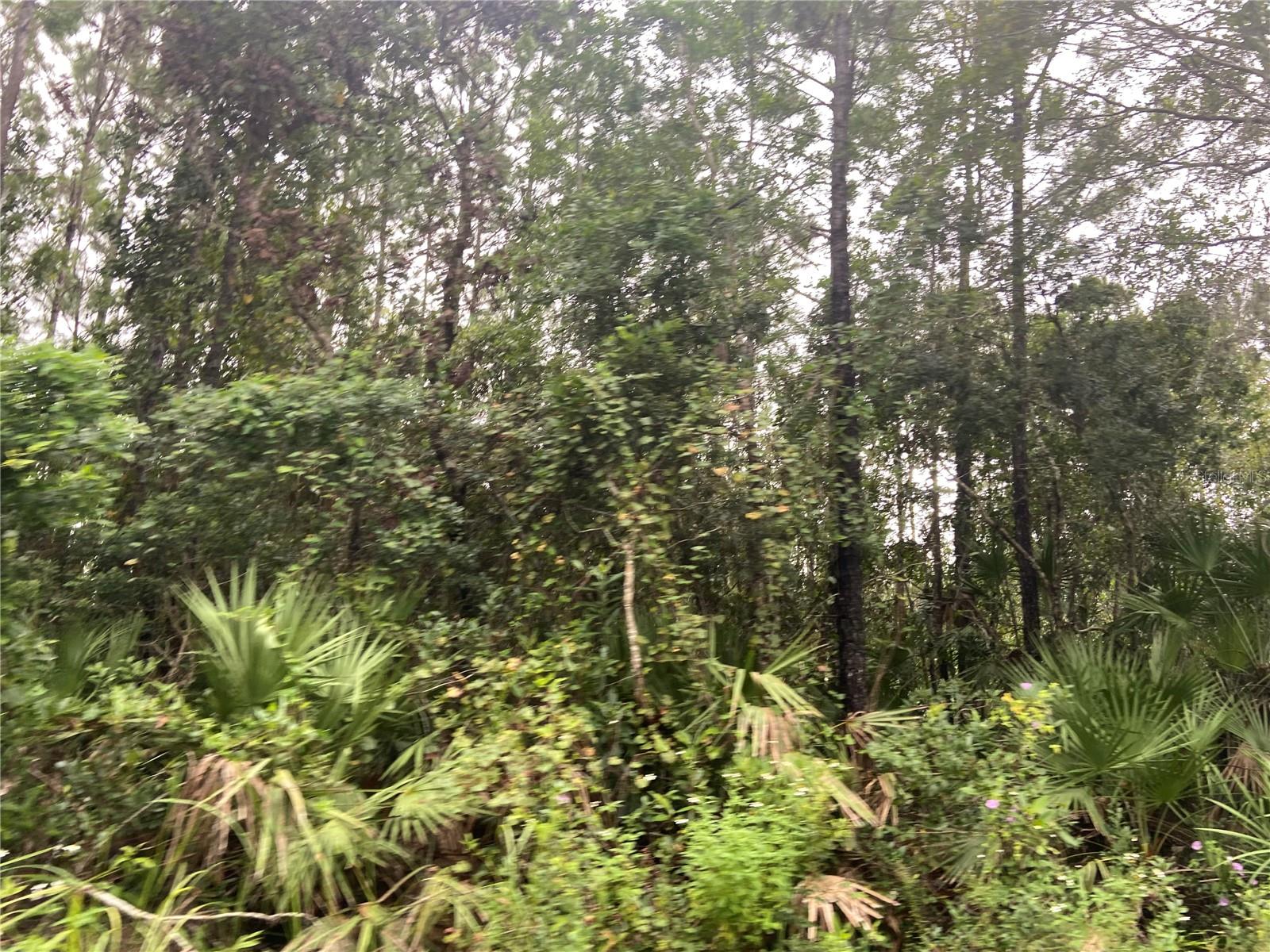 NO NAME PARCEL 28173102040030 ST