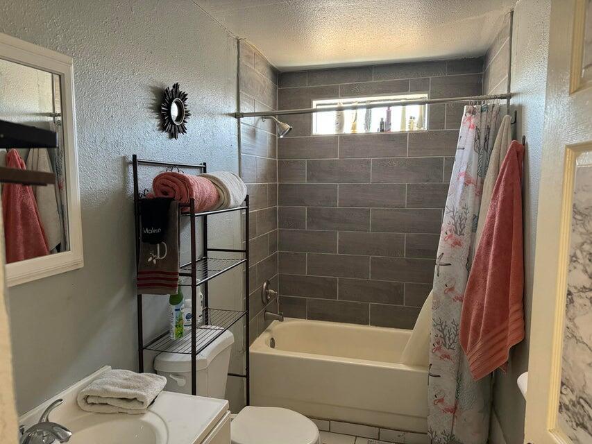 45680 Deglet Noor ST