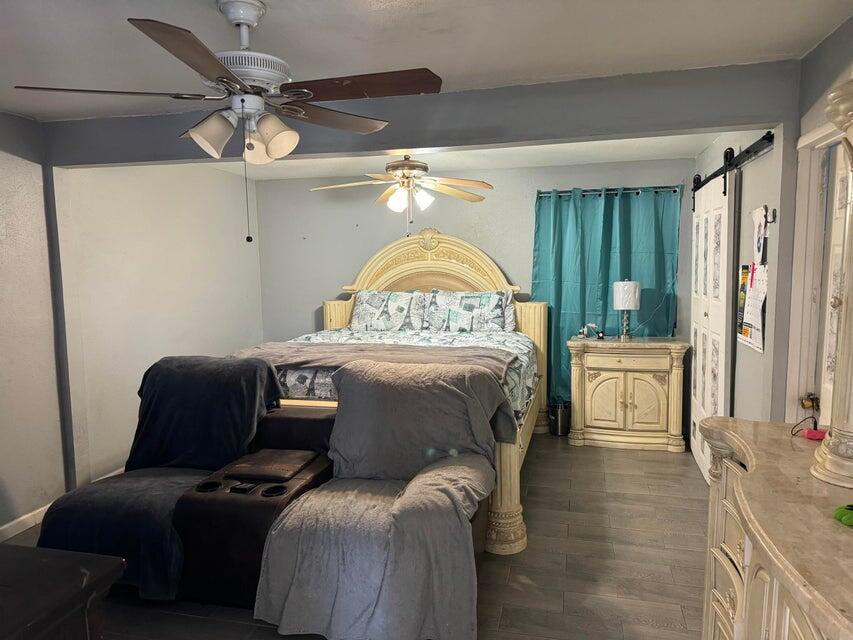 45680 Deglet Noor ST