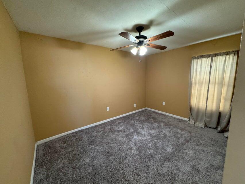 45680 Deglet Noor ST