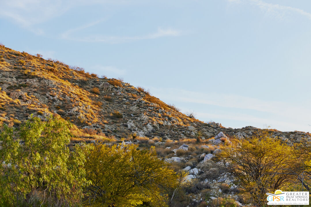 49732 Palo Verde Rd