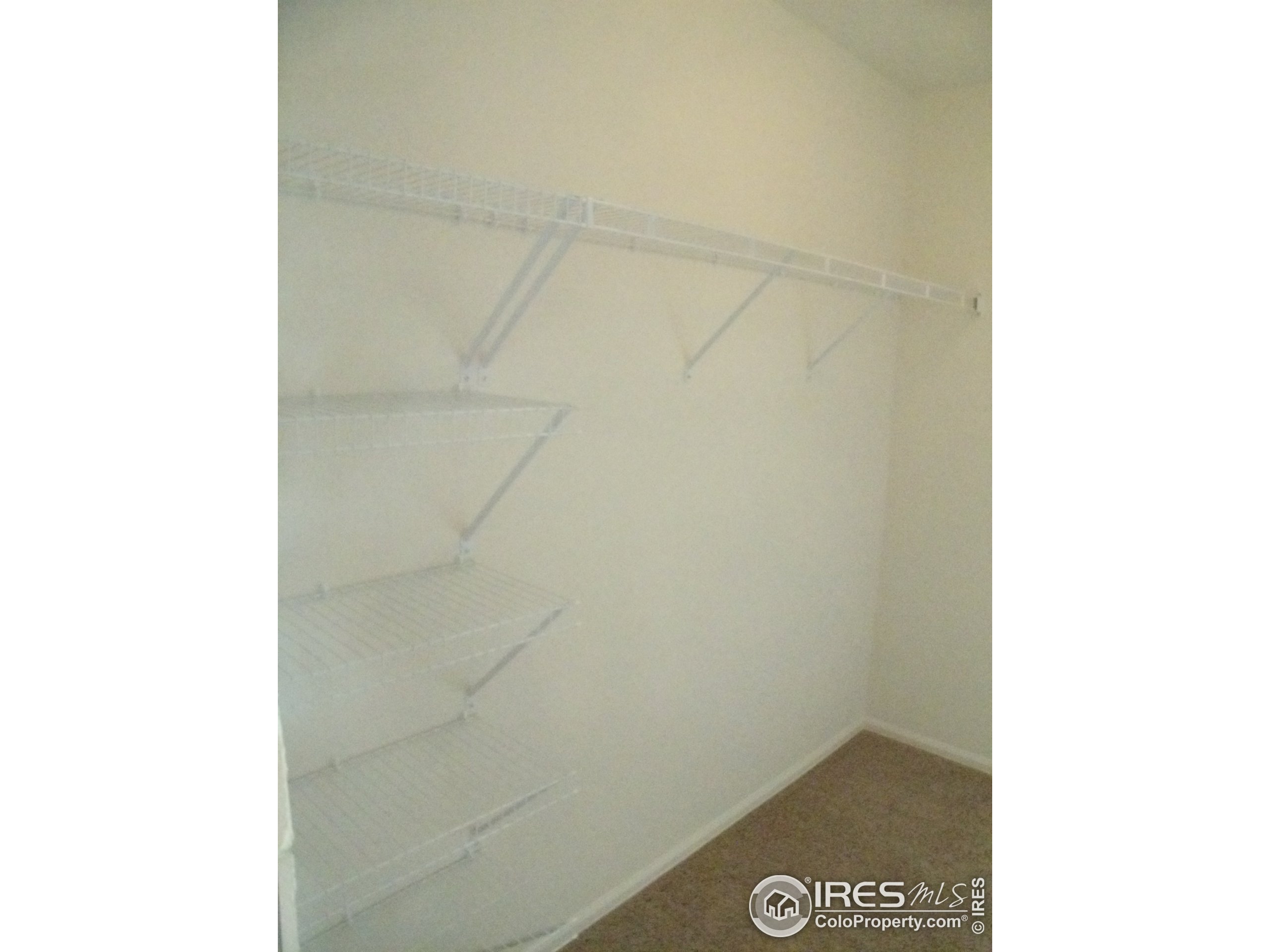 1301 Canyon Blvd 406