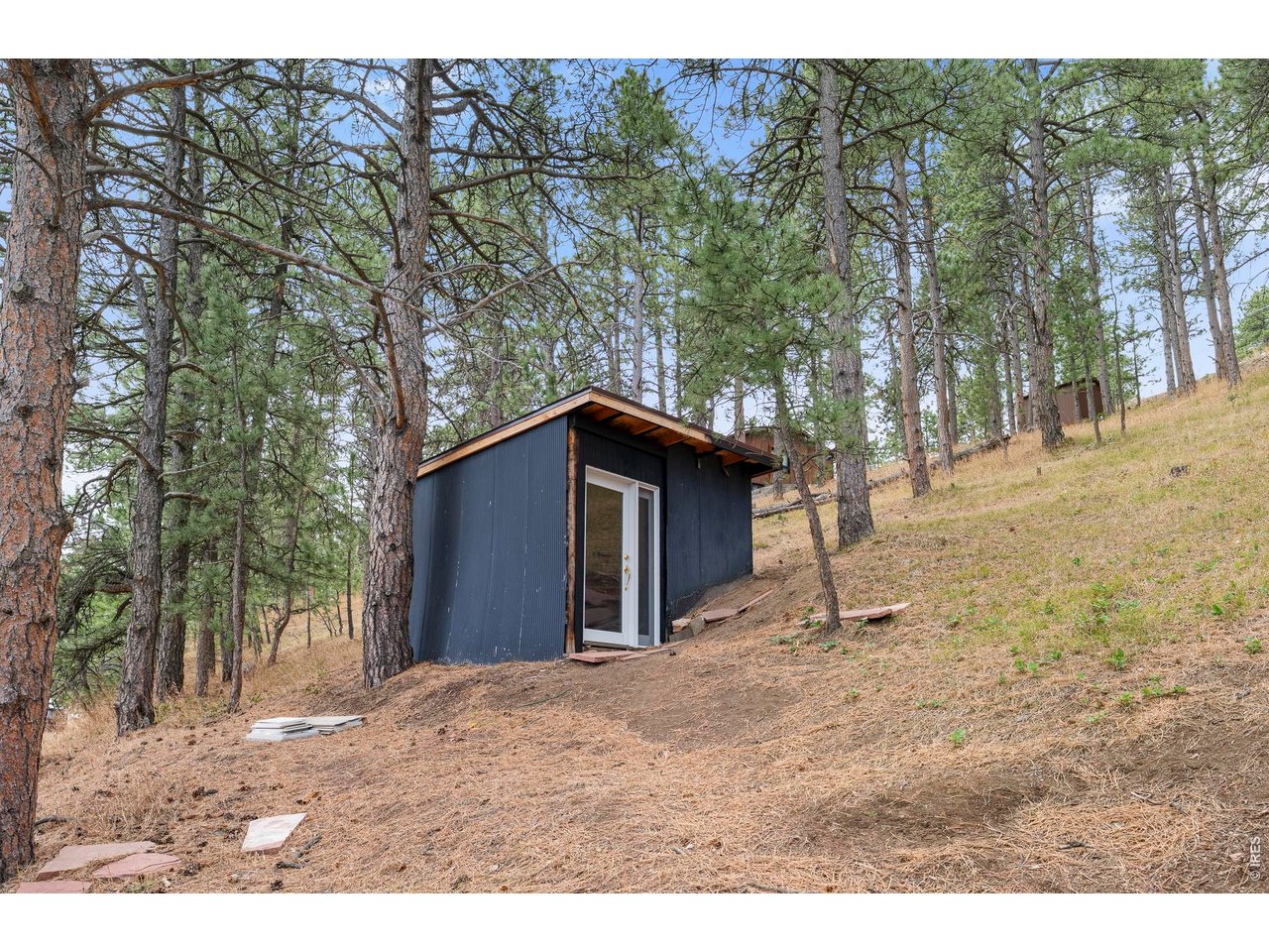 316 Pine Tree Ln
