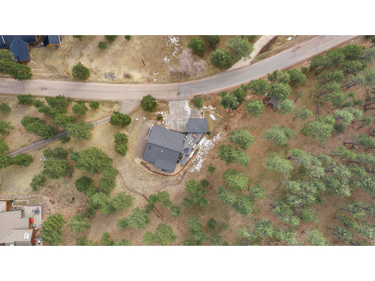 316 Pine Tree Ln