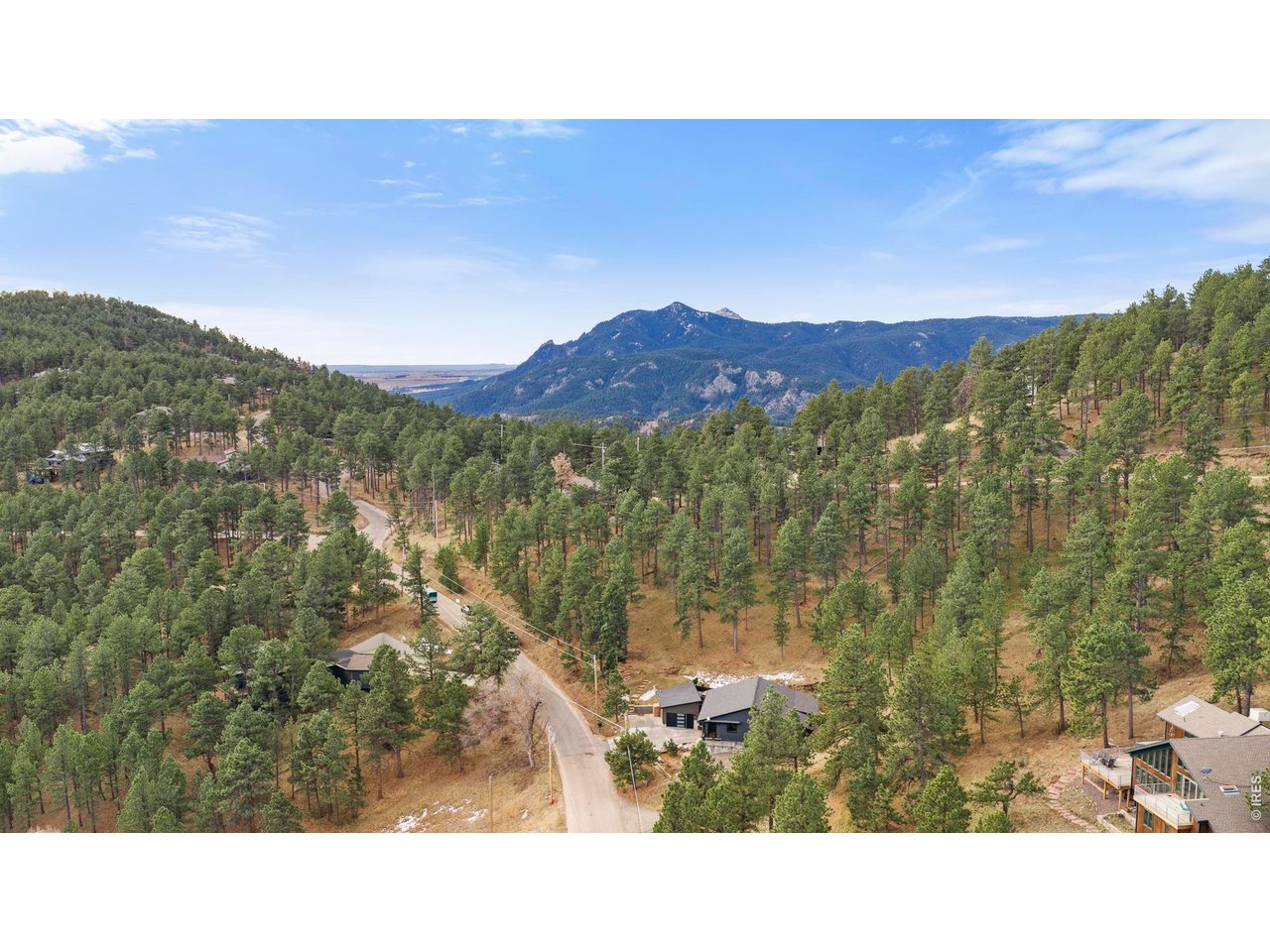 316 Pine Tree Ln