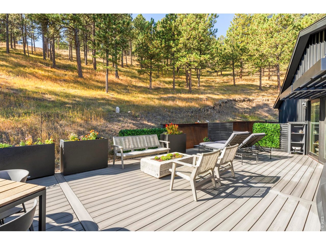 316 Pine Tree Ln