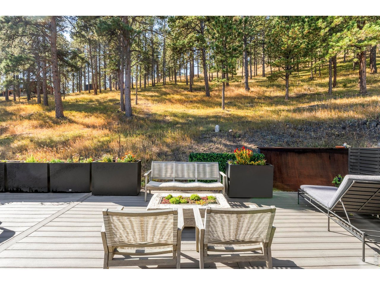 316 Pine Tree Ln
