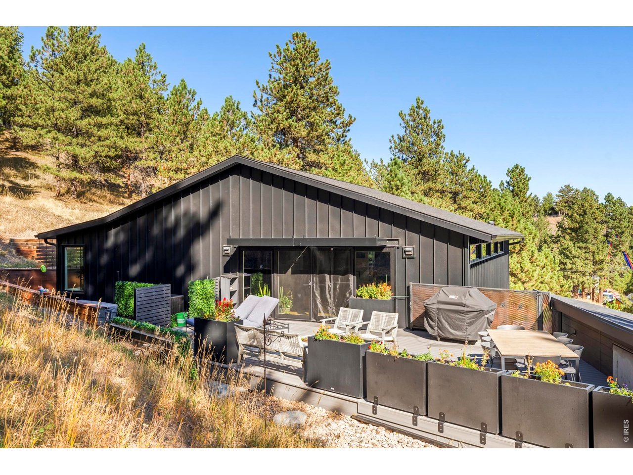 316 Pine Tree Ln