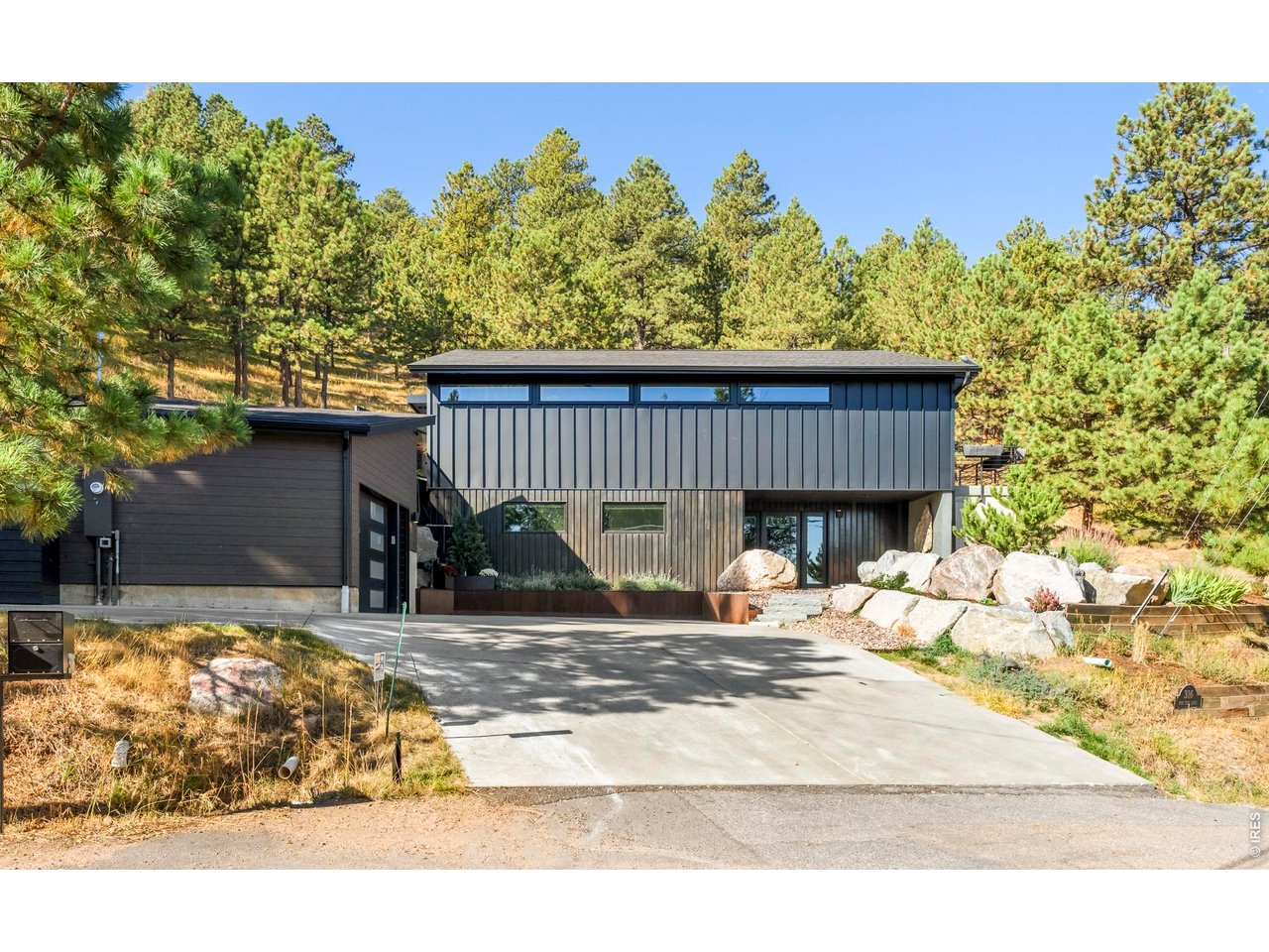 316 Pine Tree Ln