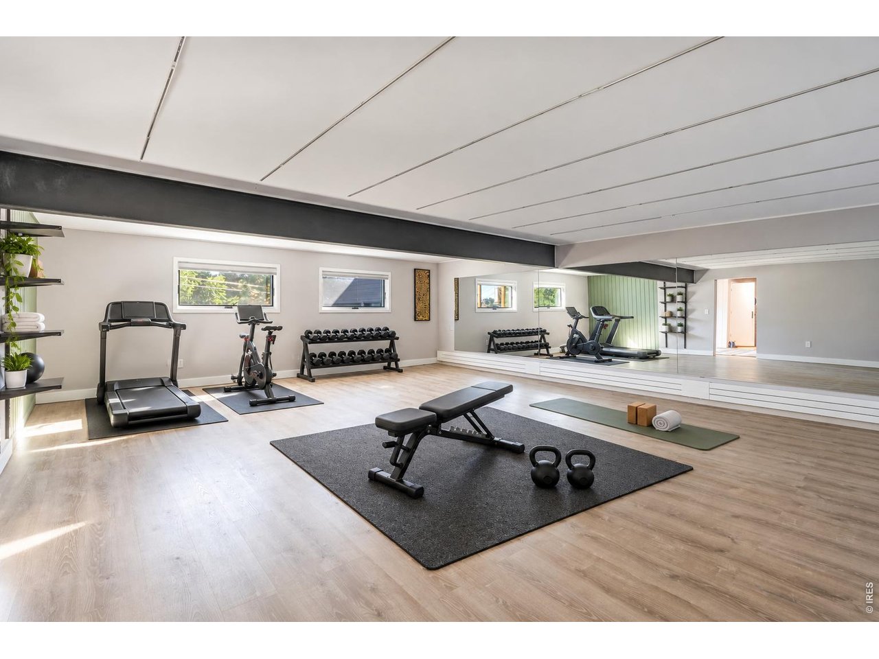 316 Pine Tree Ln