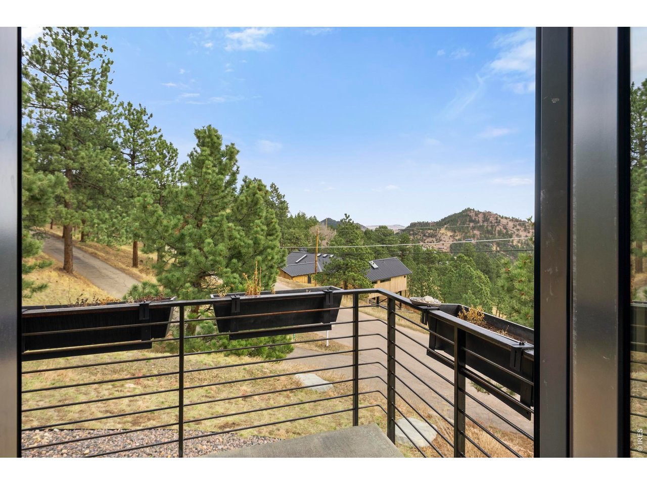 316 Pine Tree Ln